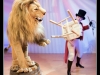 Lion 2